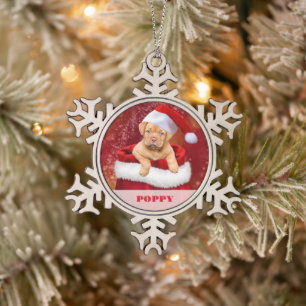 Personalized Pet Photo Snowflake Framed Ornament