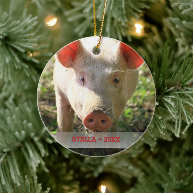 Personalized Pet Pig Photo & Name Christmas Tree Ceramic Tree Decoration (Tree)