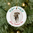Personalized Pet Puppy Dog Christmas Photo