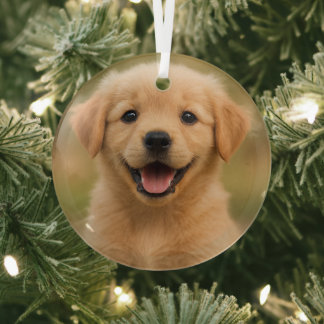 Personalized Photo Christmas Keepsake Glass Tree Decoration