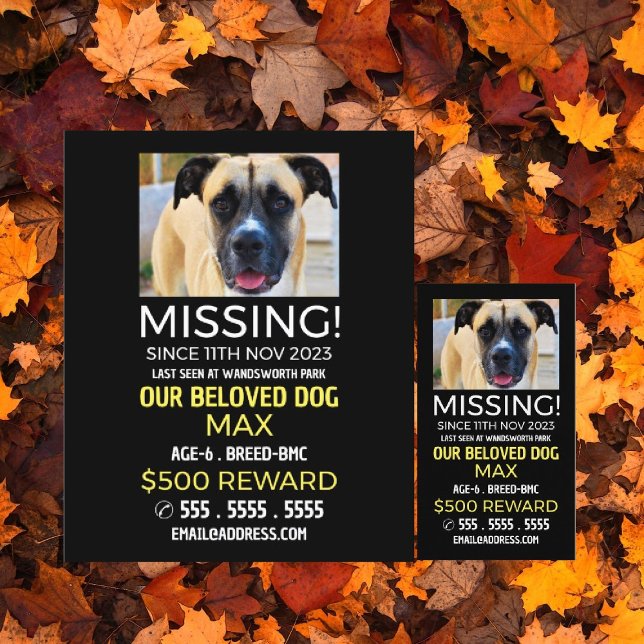 Personalized Photograph, Missing, Lost Pet Cards (Creator Uploaded)