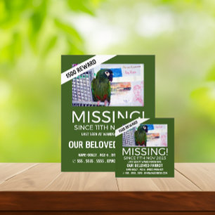 Personalized Photograph, Missing, Lost Pet Cards