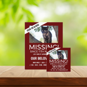 Personalized Photograph, Missing, Lost Pet Cards