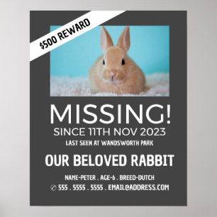 Personalized Photograph, Missing, Lost Pet Poster