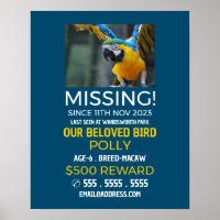 Personalized Photograph, Missing, Lost Pet