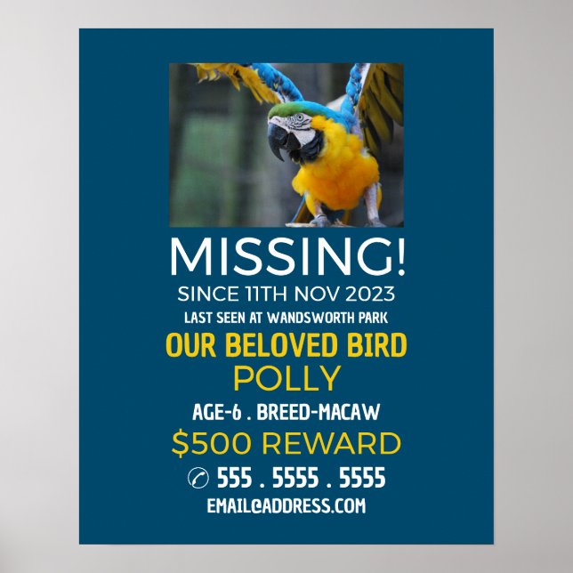 Personalized Photograph, Missing, Lost Pet Poster (Front)