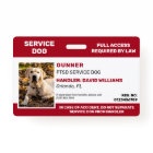 Personalized Red White Service Dog Photo ID Badge