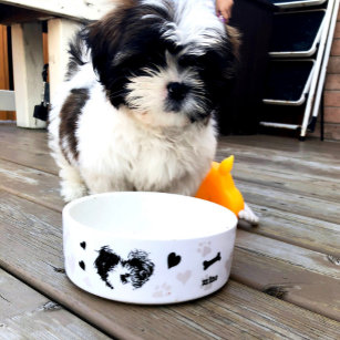 Personalized Shih Tzu Modern Pup Icon Dog Bowl