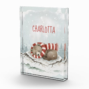 Personalized Sleeping Bear Photo Block, Custom Nam Block