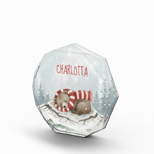 Personalized Sleeping Bear Photo Block, Custom Nam Block