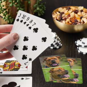 Personalized Two Pet Photo  Playing Cards