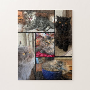 Personalized Your 5 Photo Puzzle Persian Cat