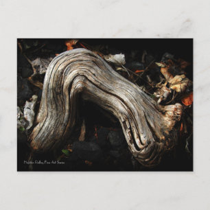 Personification of Persephone postcard