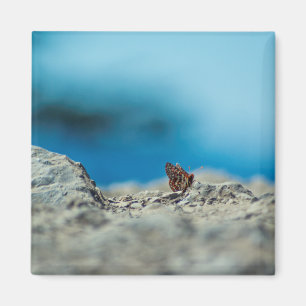 Perspective Magnet