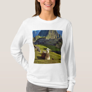 Peru, Andes, Andes Mountains, Machu Picchu T-Shirt