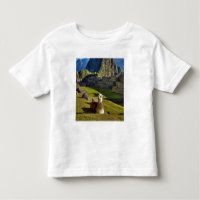 Peru, Andes, Andes Mountains, Machu Picchu