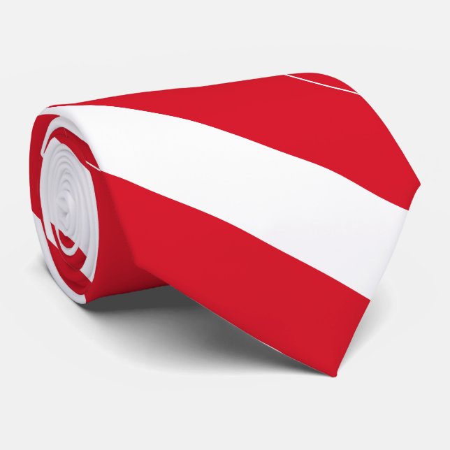 Peru Flag Tie (Rolled)
