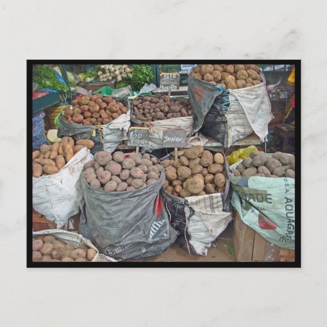 Peru-Land of Potatoes Postcard (Front)