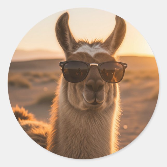 Peru Llama in sunglasses Classic Round Sticker (Front)
