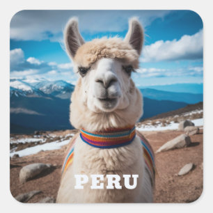 Peru Llama Square Sticker