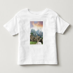 Peru, Machu Picchu, the ancient lost city of Toddler T-Shirt