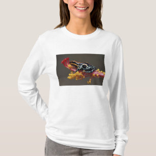 Peru, Peruvian Rain Forest. Poison Arrow Frog T-Shirt