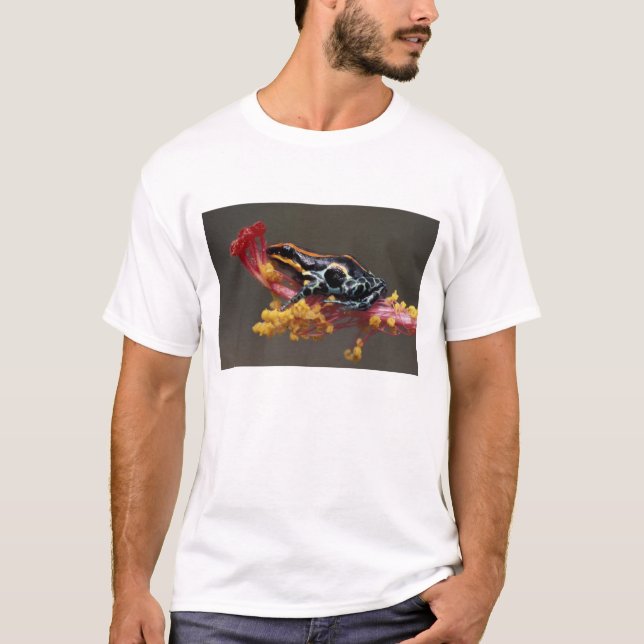 Peru, Peruvian Rain Forest. Poison Arrow Frog T-Shirt (Front)