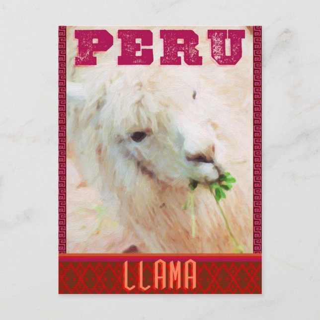 Peru Travel Postcard - The Llamas of Peru (Front)