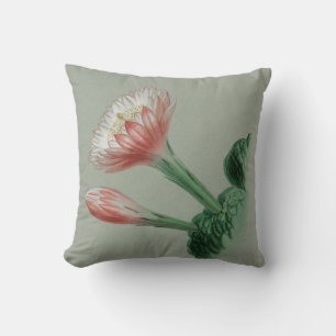 Peruvian Apple Cushion