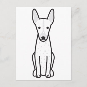 Peruvian Inca Orchid Postcard