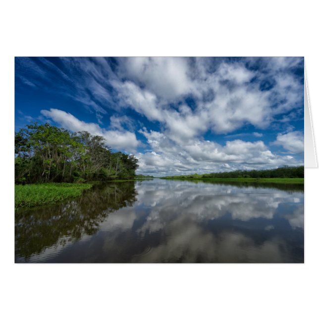 Peruvian Jungle Reflections (Front Horizontal)