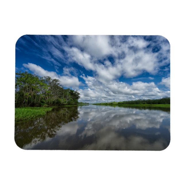 Peruvian Jungle Reflections Magnet (Horizontal)