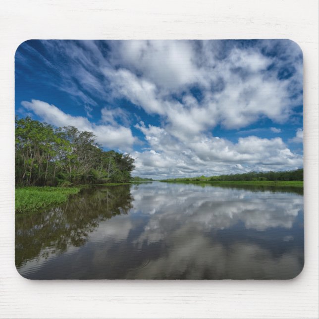 Peruvian Jungle Reflections Mouse Pad (Front)