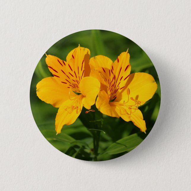 Peruvian Lilies 6 Cm Round Badge (Front)
