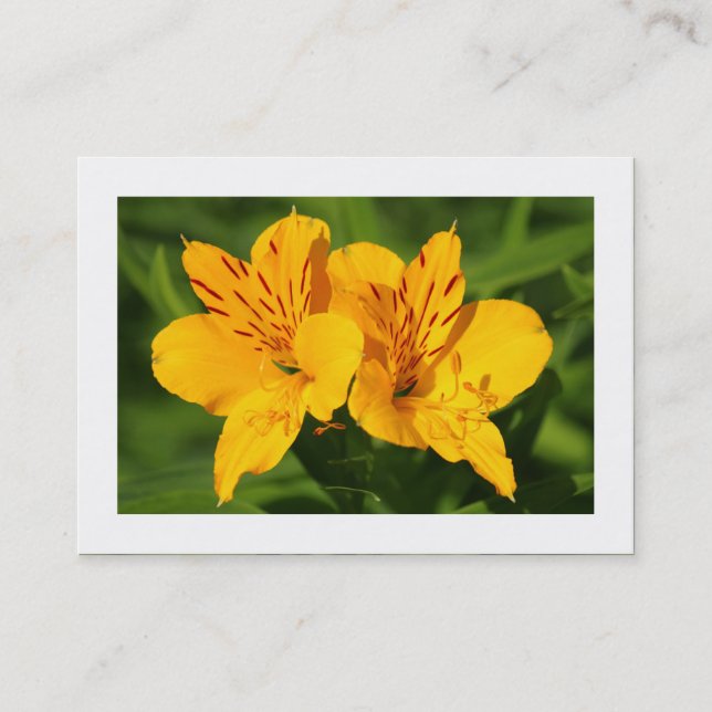 Peruvian Lilies (Bordered) Business Card (Front)