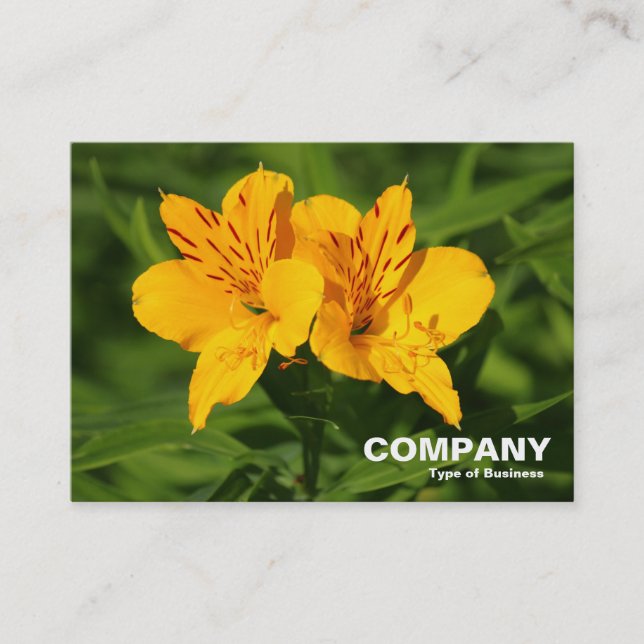 Peruvian Lilies Business Card (Front)