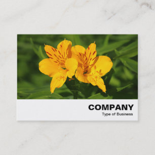 Peruvian Lilies Business Card