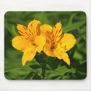 Peruvian Lilies Mouse Pad