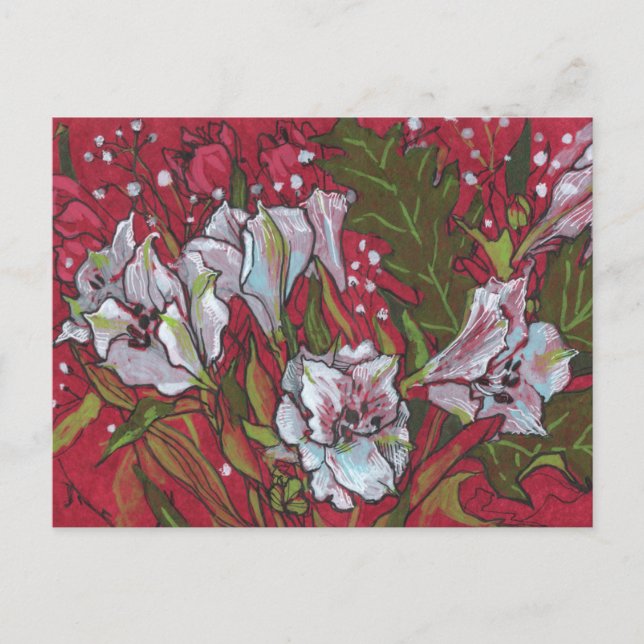 Peruvian Lilies Spring Flowers Floral Art Sketch  Postcard (Front)