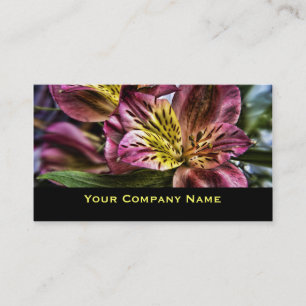 Peruvian Lily flower Custom Business Cards