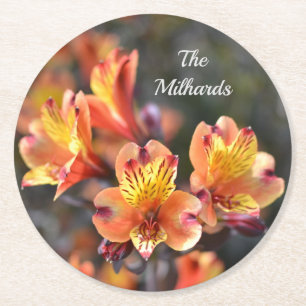 Peruvian Lily Flowers at RHS Garden Monogram Round Paper Coaster