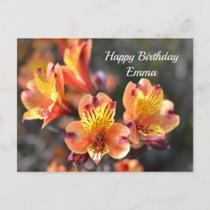 Peruvian Lily Flowers at RHS Garden Wisley Postcard