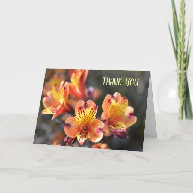 Peruvian Lily Flowers at RHS Garden Wisley Thank You Card (Front)