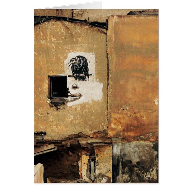 peruvian vulture urban wall (Front)