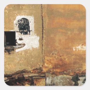 peruvian vulture urban wall square sticker