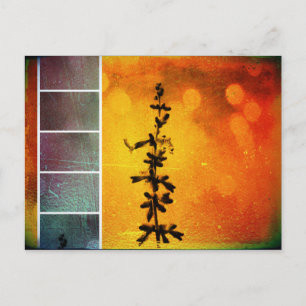 Pervoskia Collage Aflame Postcard