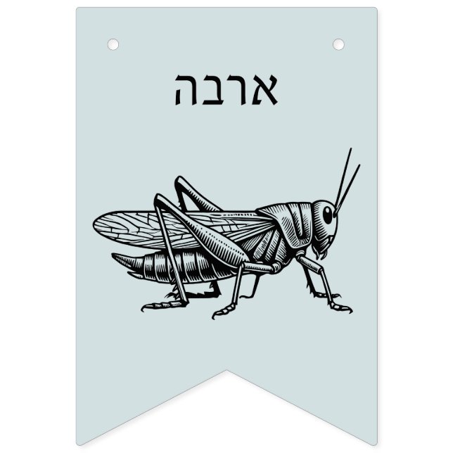 Pesach Plagues for Seder Bunting (Eleventh Flag)