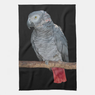 Pesky Parrot Kitchen Towel