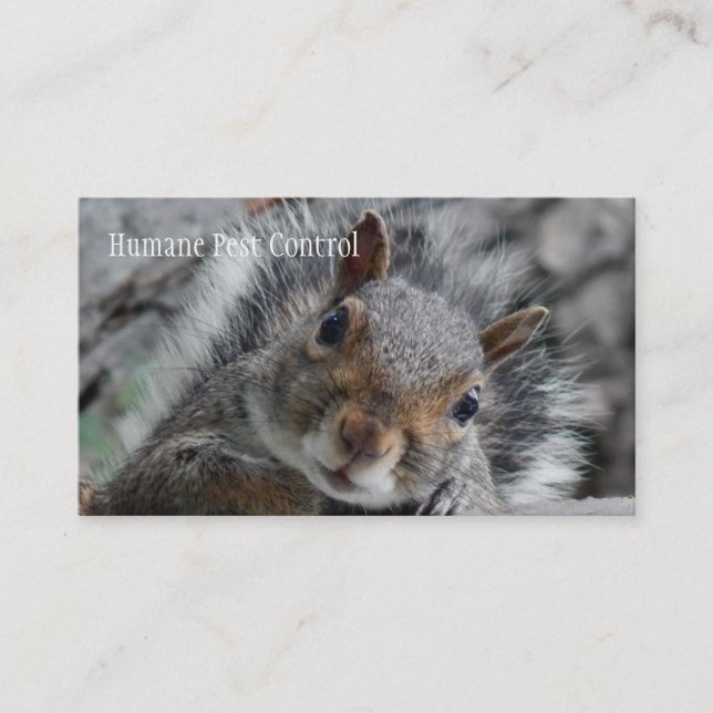 Pesky Squirrel Business Card (Front)