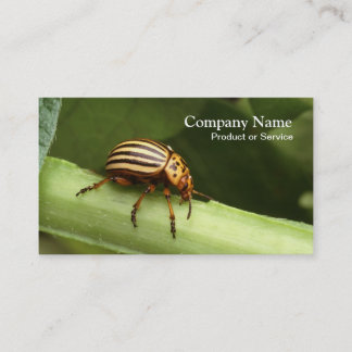 Pest control business card